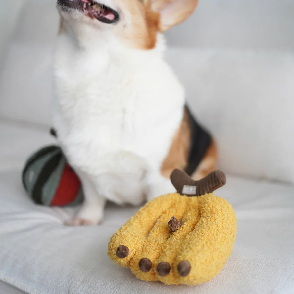 Banana Dog Toy