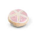 Grapefruit Dog Toy