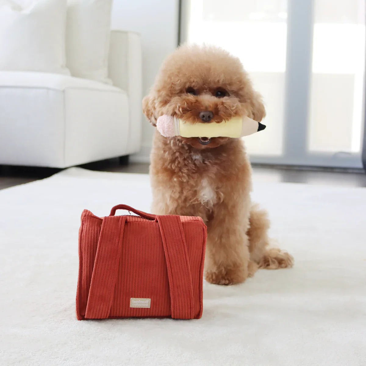 Back To School Dog Toy Set