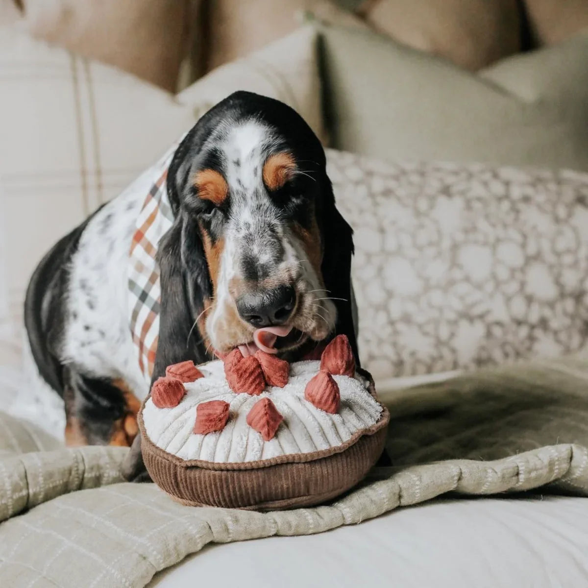 Berry Pie Dog Toy