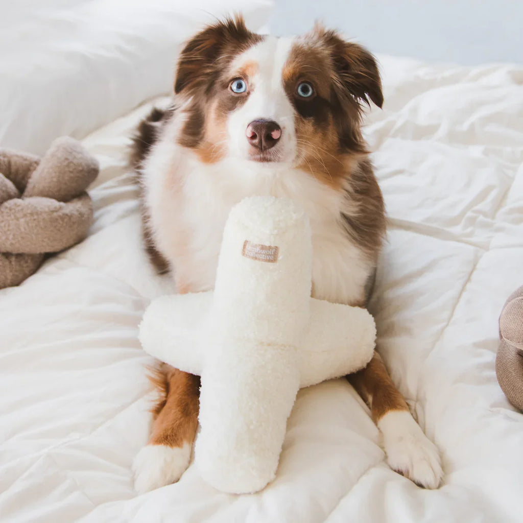 O Breuer Toy - Oversized + Squeaky + Crinkly