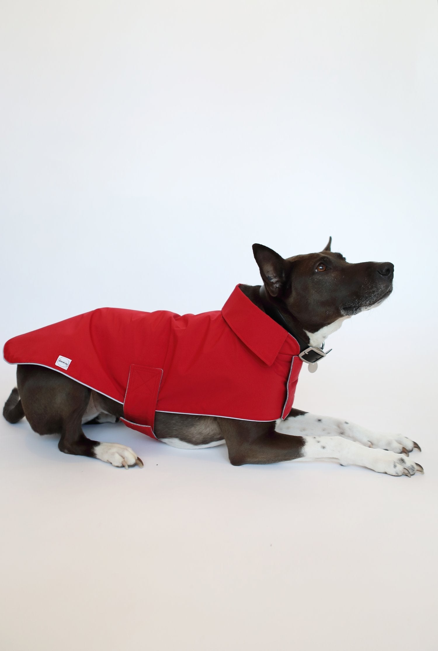 Softshell Rain Jacket