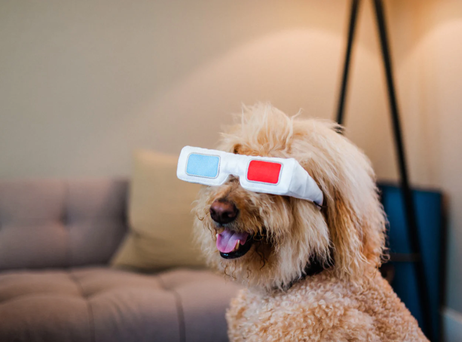 Hollywoof Cinema 3-Dog Glasses Toy