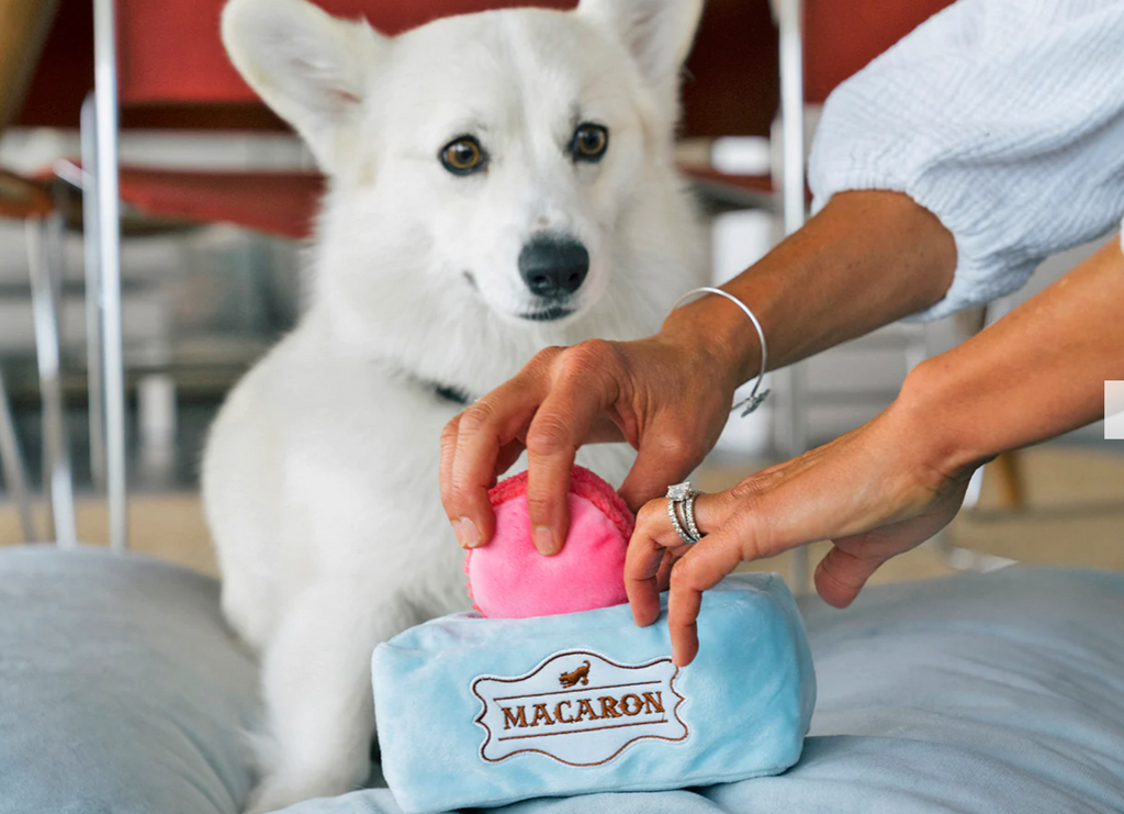 Pup Cup Café Mutt-a-rons Toy