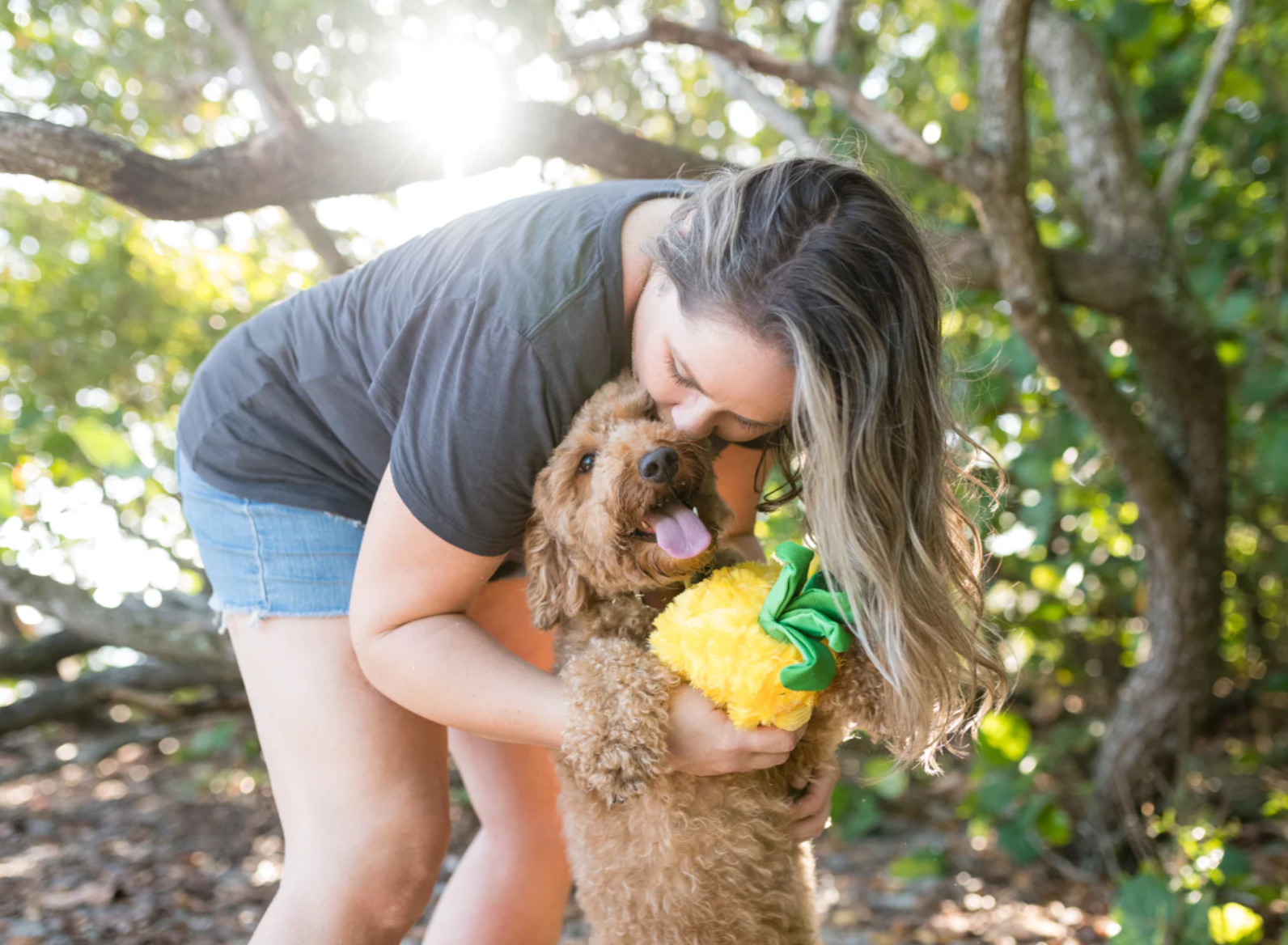 Tropical Paradise Paws Up Pineapple Toy