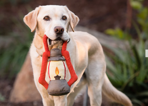 Camp Corbin Pack Leader Lantern Toy