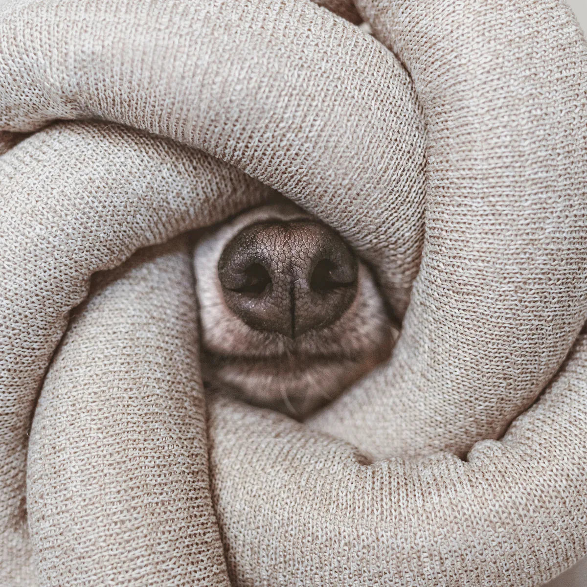 NOU® Toy - Crinkly + Nylon Knit