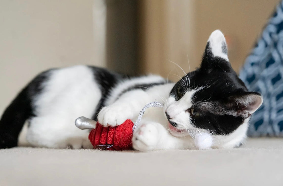 Feline Frenzy Twice as Mice Toy Set