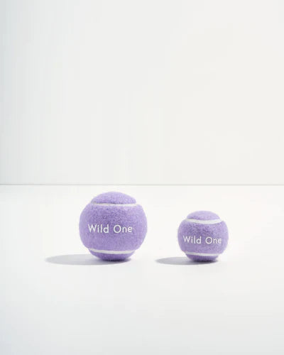 Tennis Balls - Set of 4