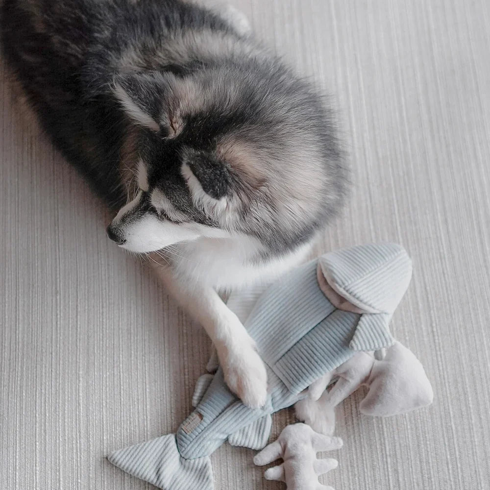 Trout Enrichment Dog Toy