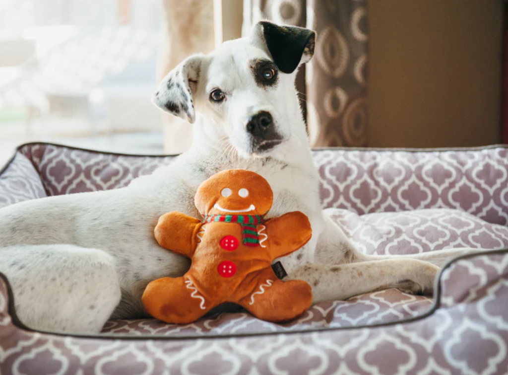 Holiday Classic - Holly Jolly Gingerbread Man Toy