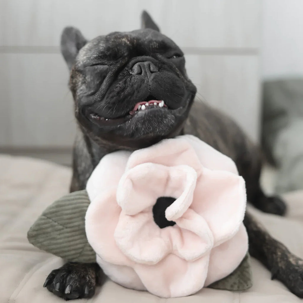 Poppy Dog Toy