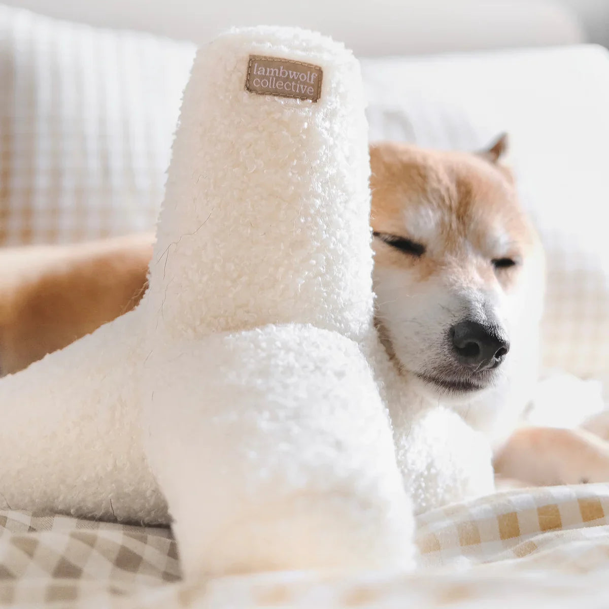 O Breuer Toy - Oversized + Squeaky + Crinkly