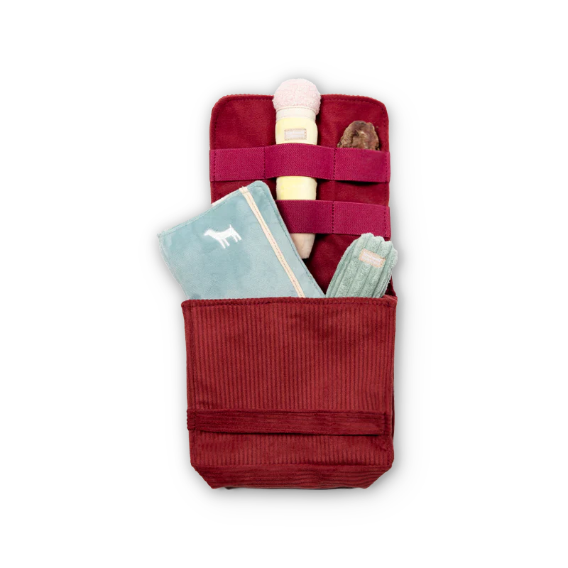 Back To School Dog Toy Set