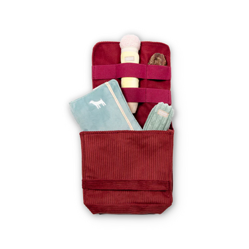 Back To School Dog Toy Set