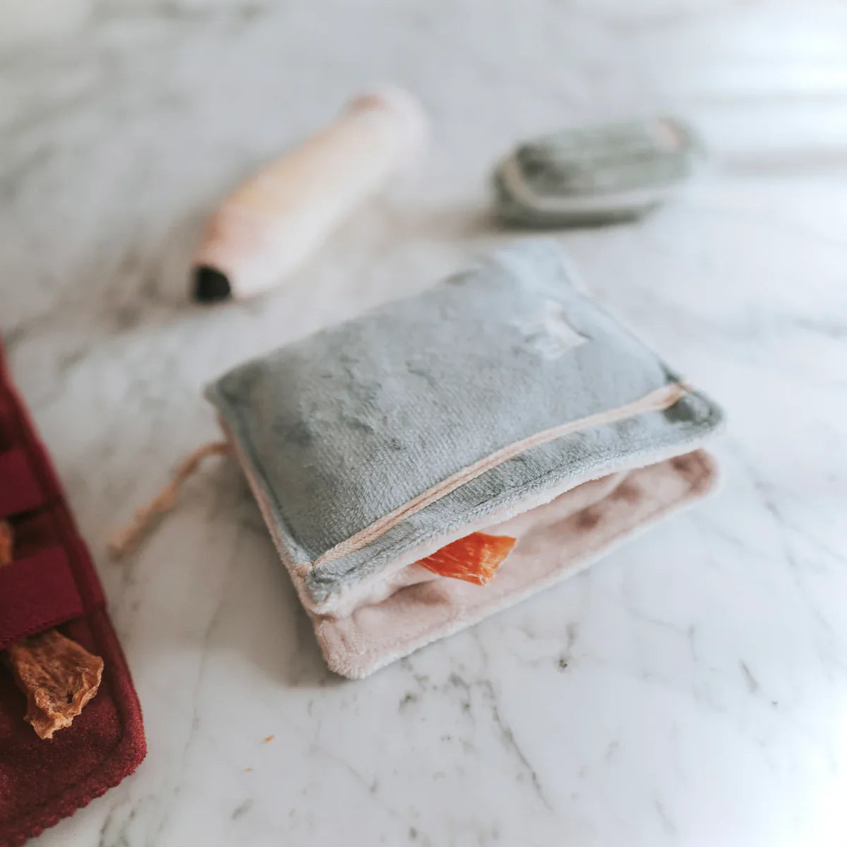 Back To School Dog Toy Set