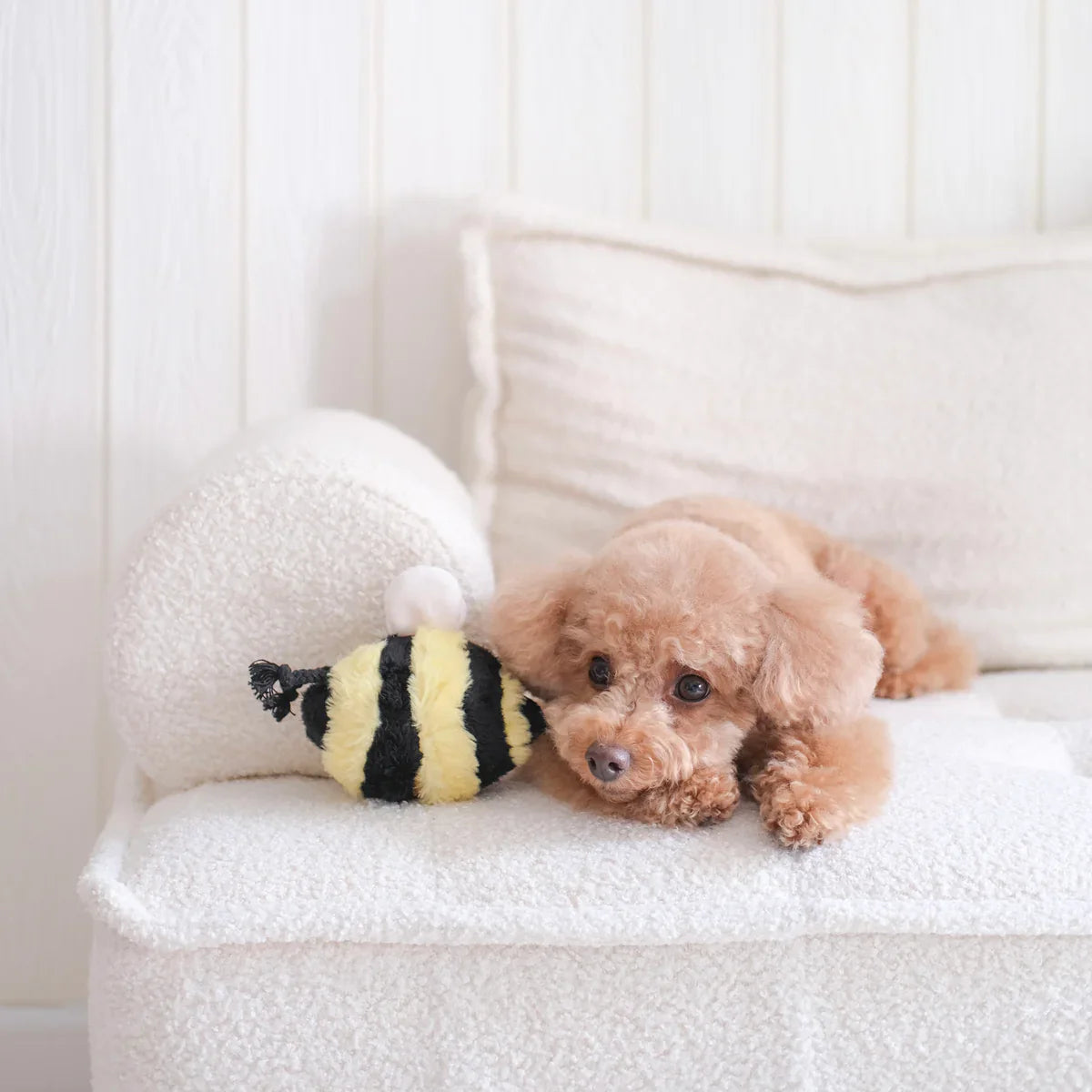 Bee Pop Dog Toy