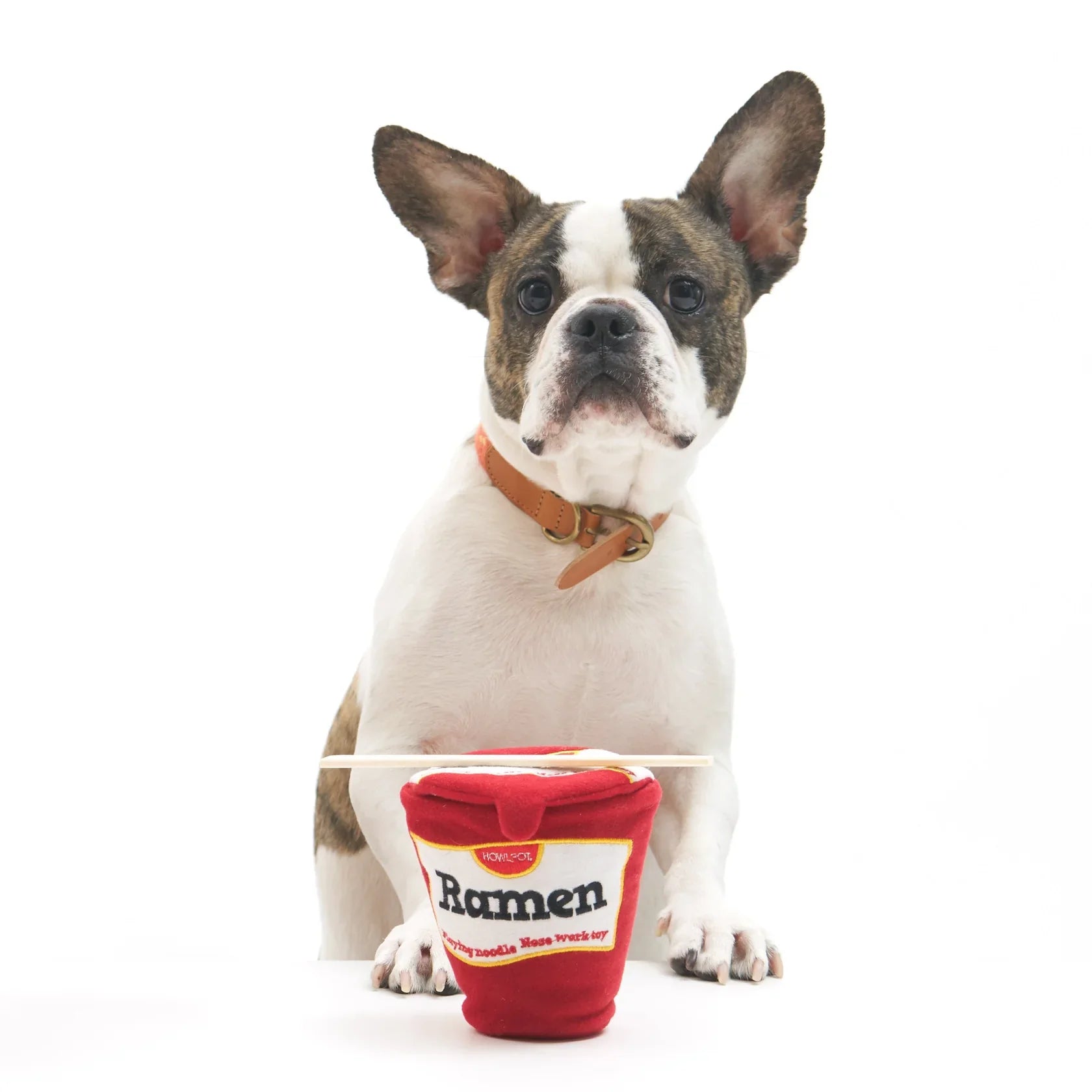 Ramen Nosework Noodle Toy