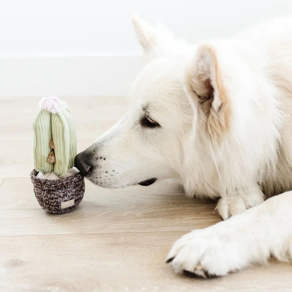 Cactus Dog Toy