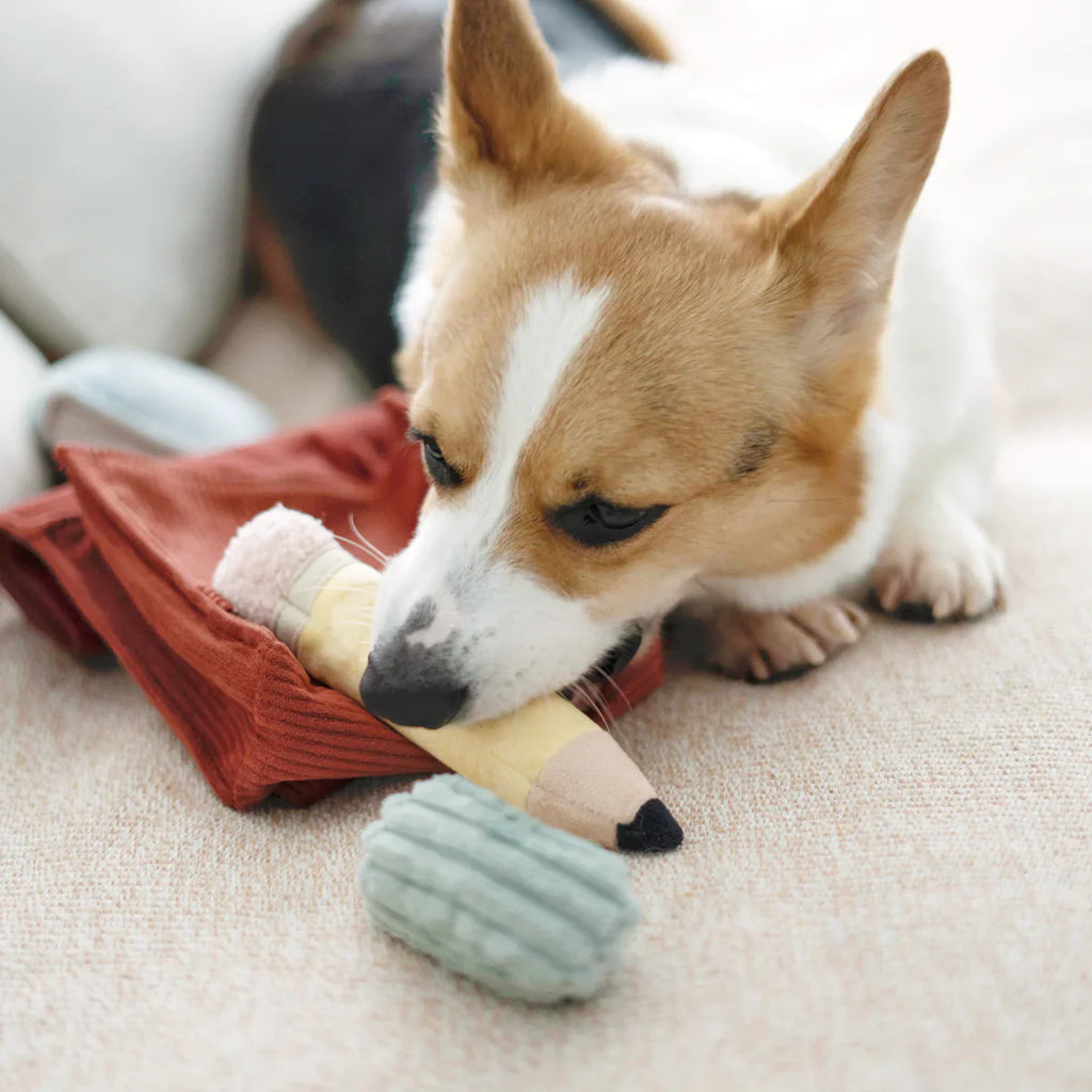 Back To School Dog Toy Set
