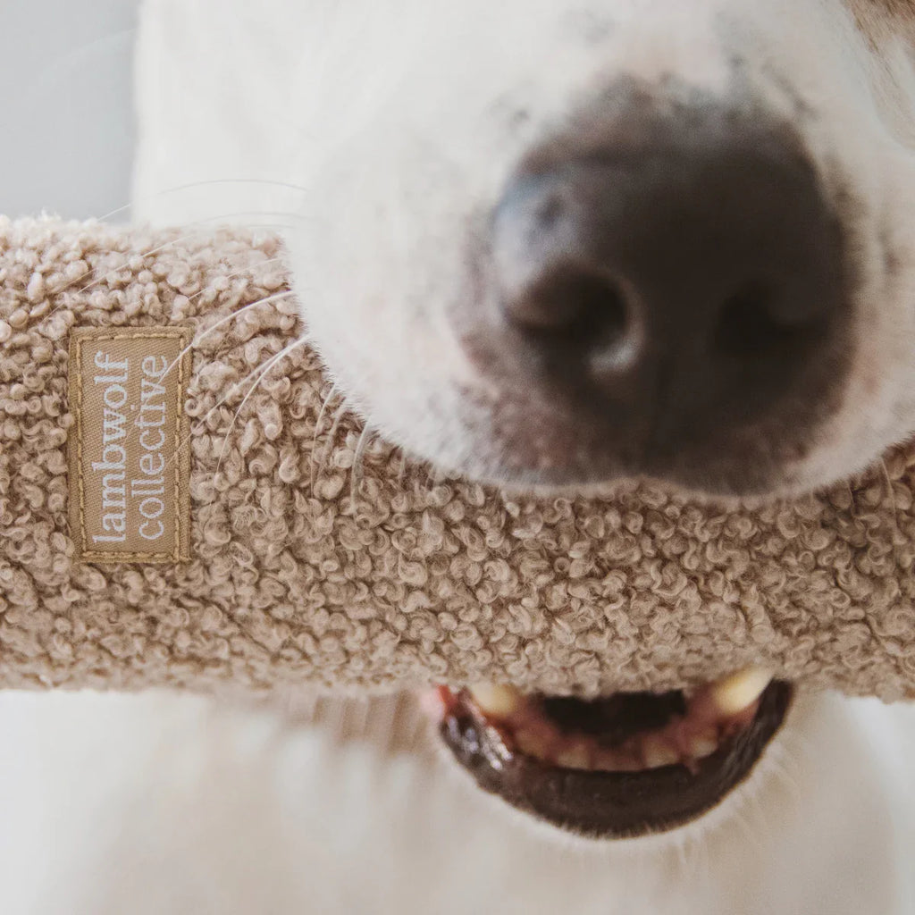 O NOU Toy - Oversized + Squeaky + Teddy Plush