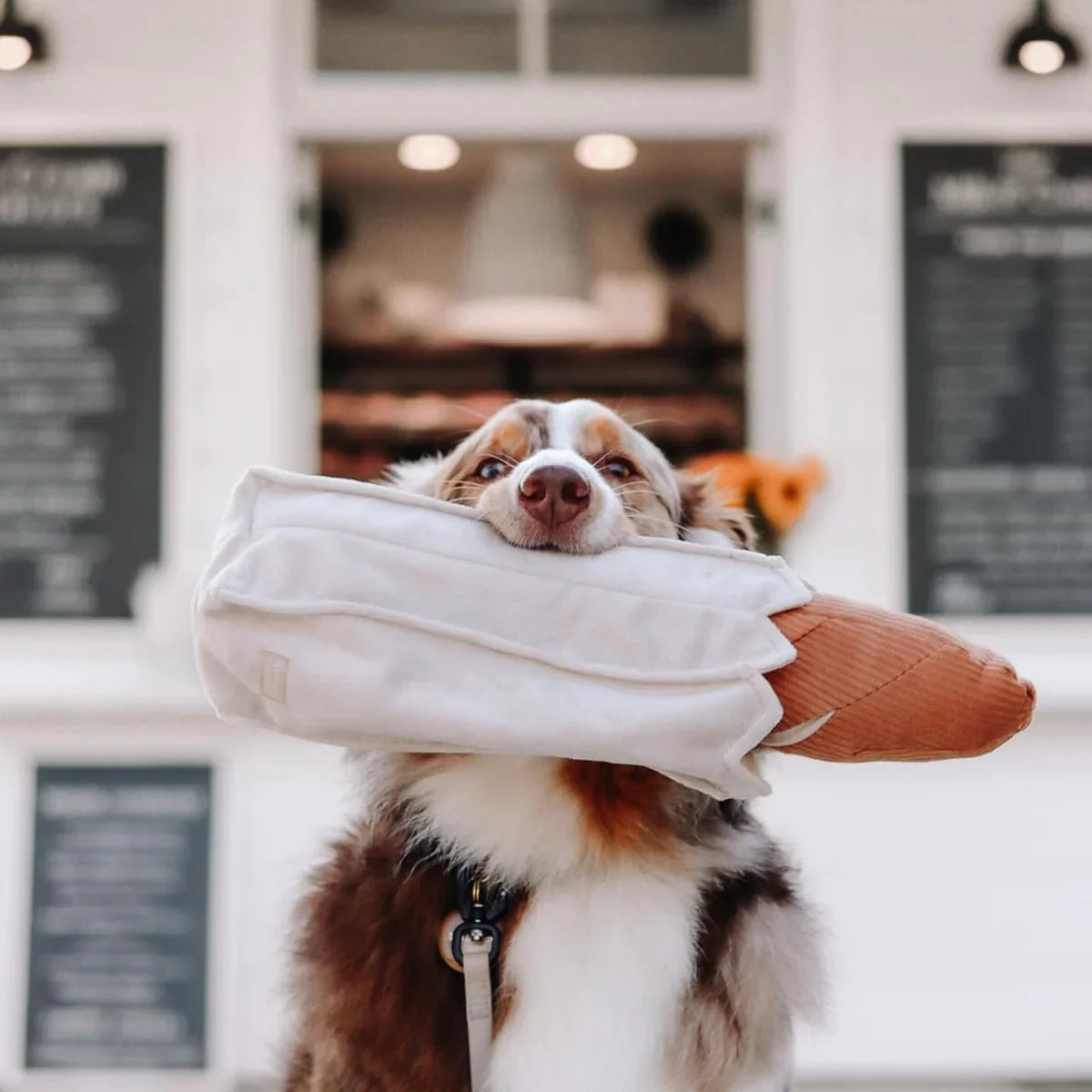 Baguette Dog Toy