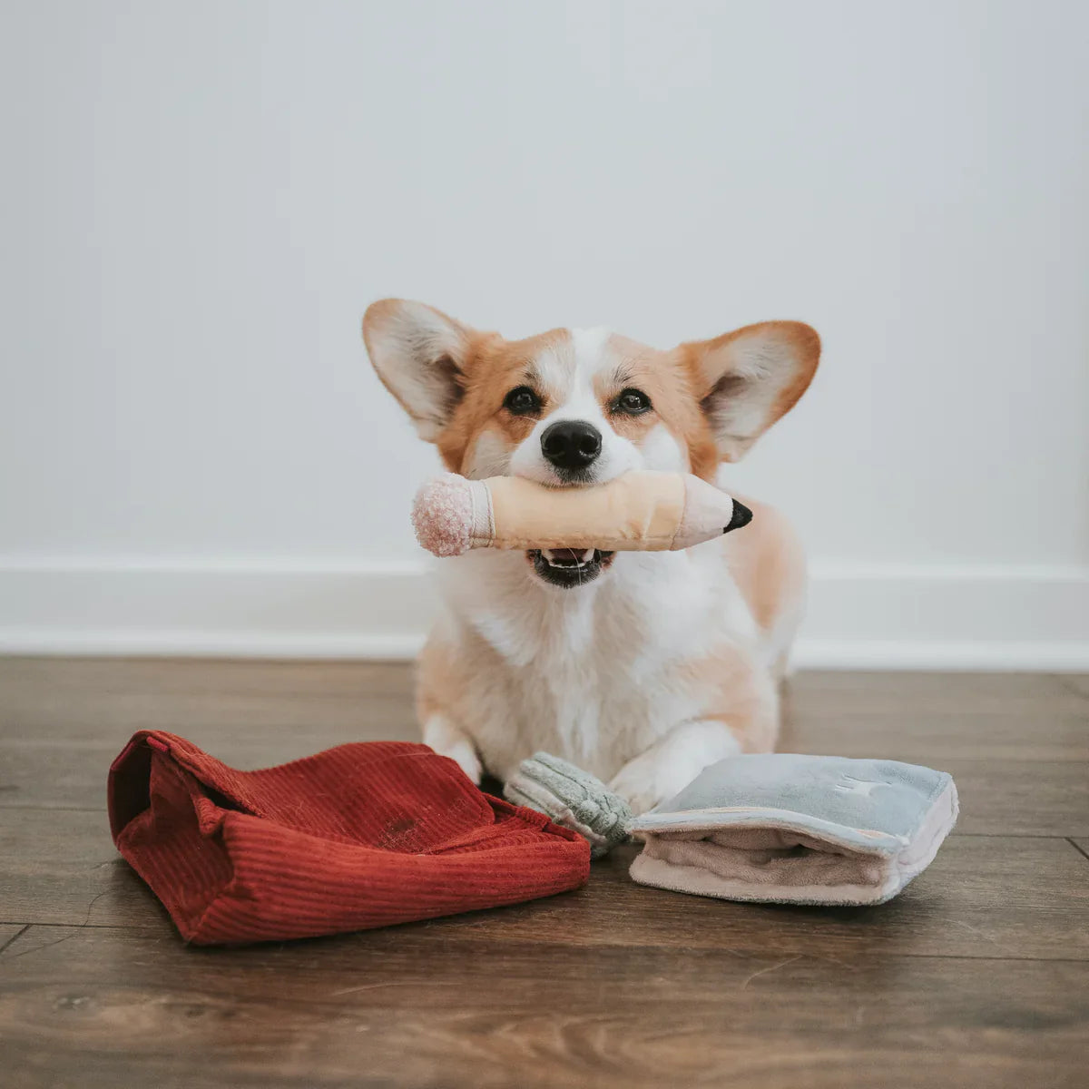 Back To School Dog Toy Set