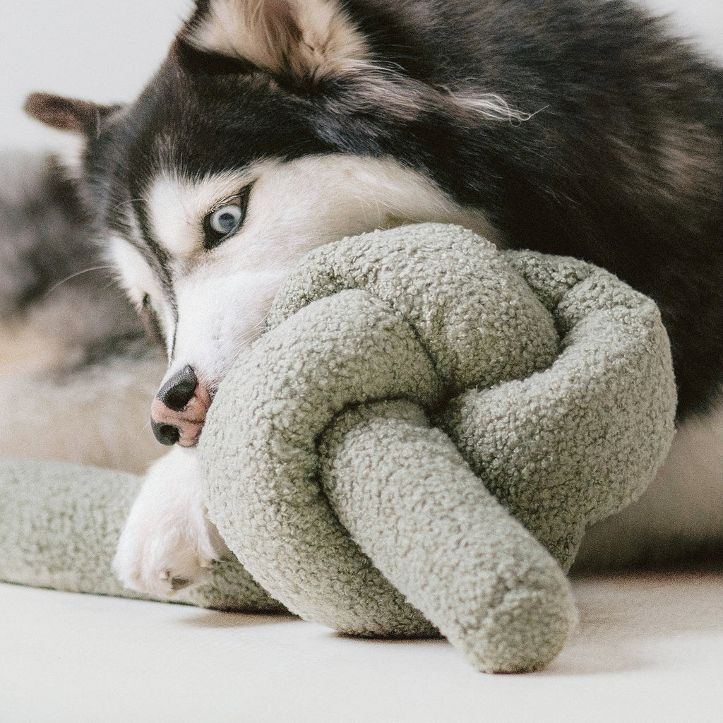 O NOU Toy - Oversized + Squeaky + Teddy Plush