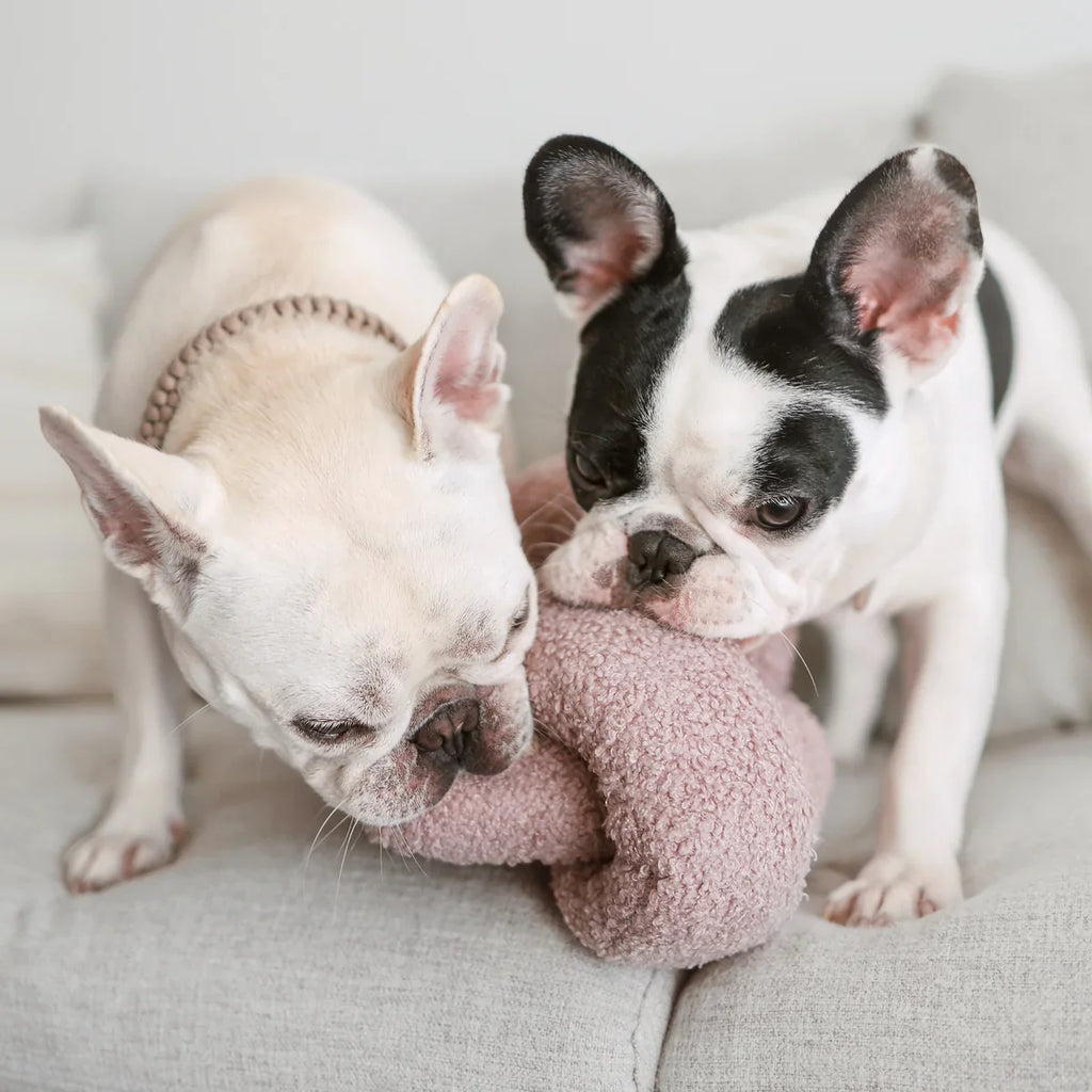 O NOU Toy - Oversized + Squeaky + Teddy Plush