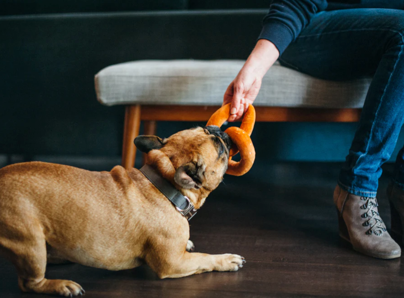 International Classic Poochie Pretzel Toy