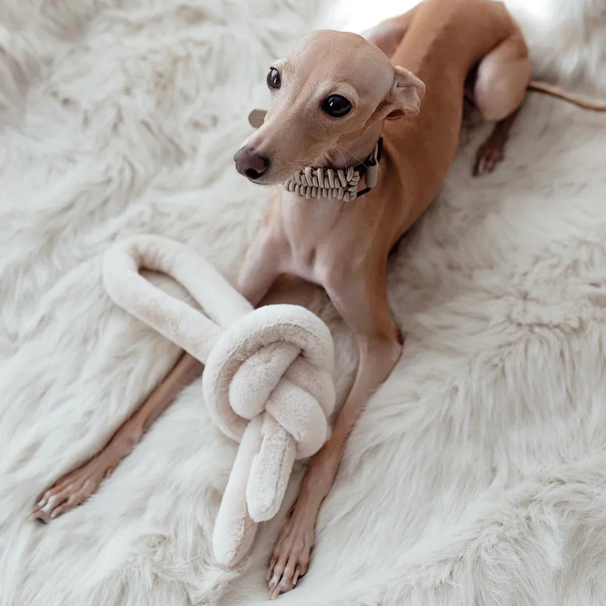 NOUNOUNOU Toy - Petite + Corduroy