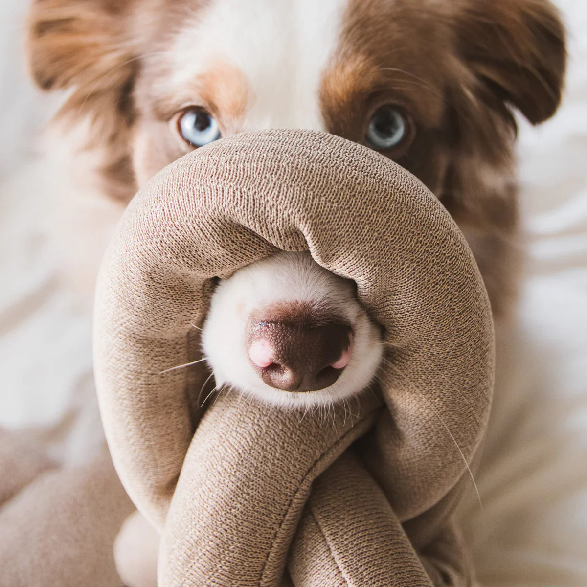 NOU® Toy - Silent + Nylon Knit