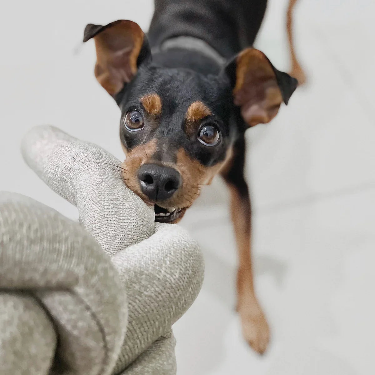 NOUNOU Toy - Tinkly + Nylon Knit