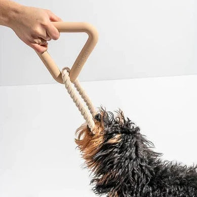 Triangle Tug Toy - Standard
