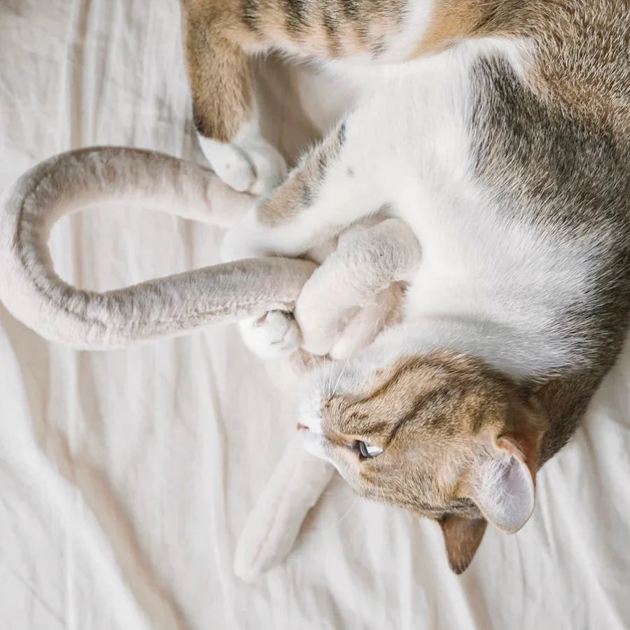 NOUNOUNOU Toy - Petite + Corduroy