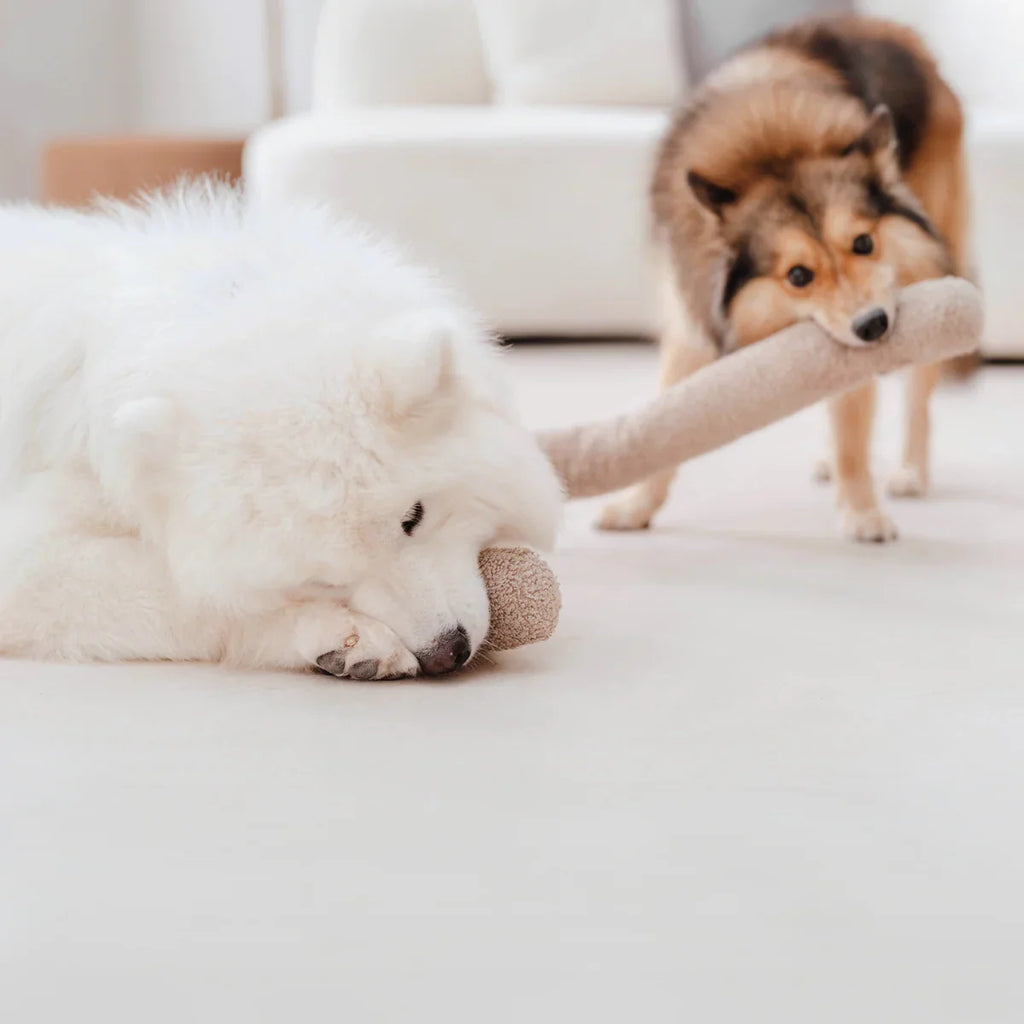 O NOU Toy - Oversized + Squeaky + Teddy Plush