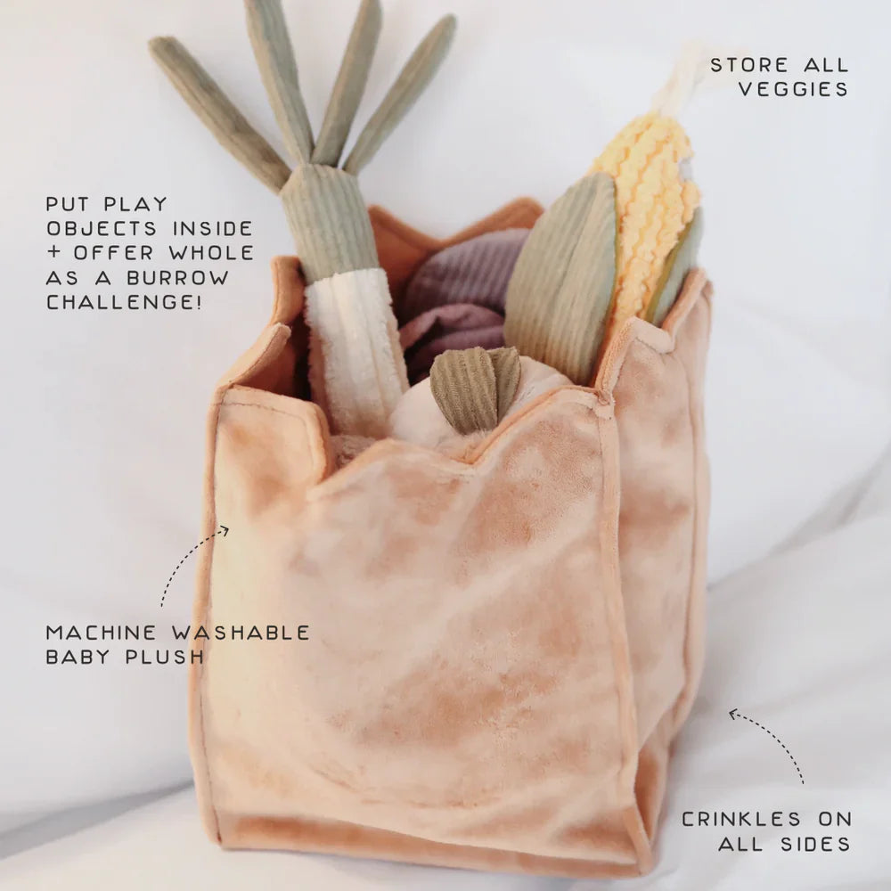 Farmer's Market Enrichment Dog Toy Set