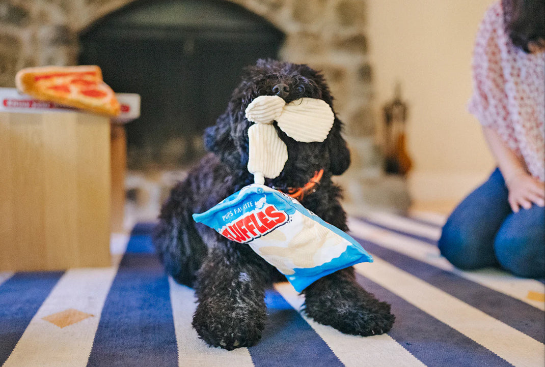 Snack Attack Fluffles Chips Toy