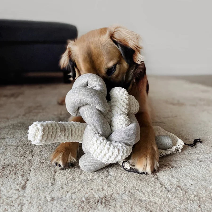 NOU® Toy - Squeaky + Corduroy