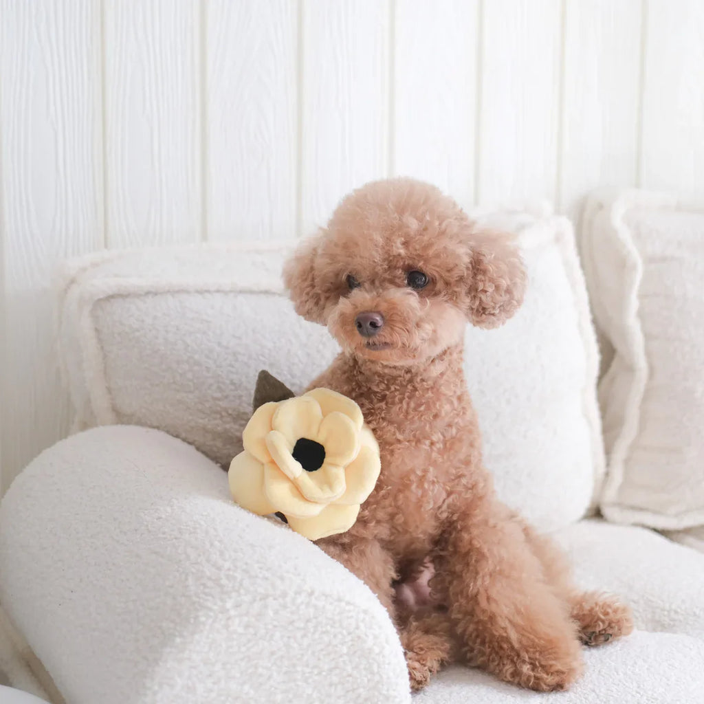 Poppy Dog Toy