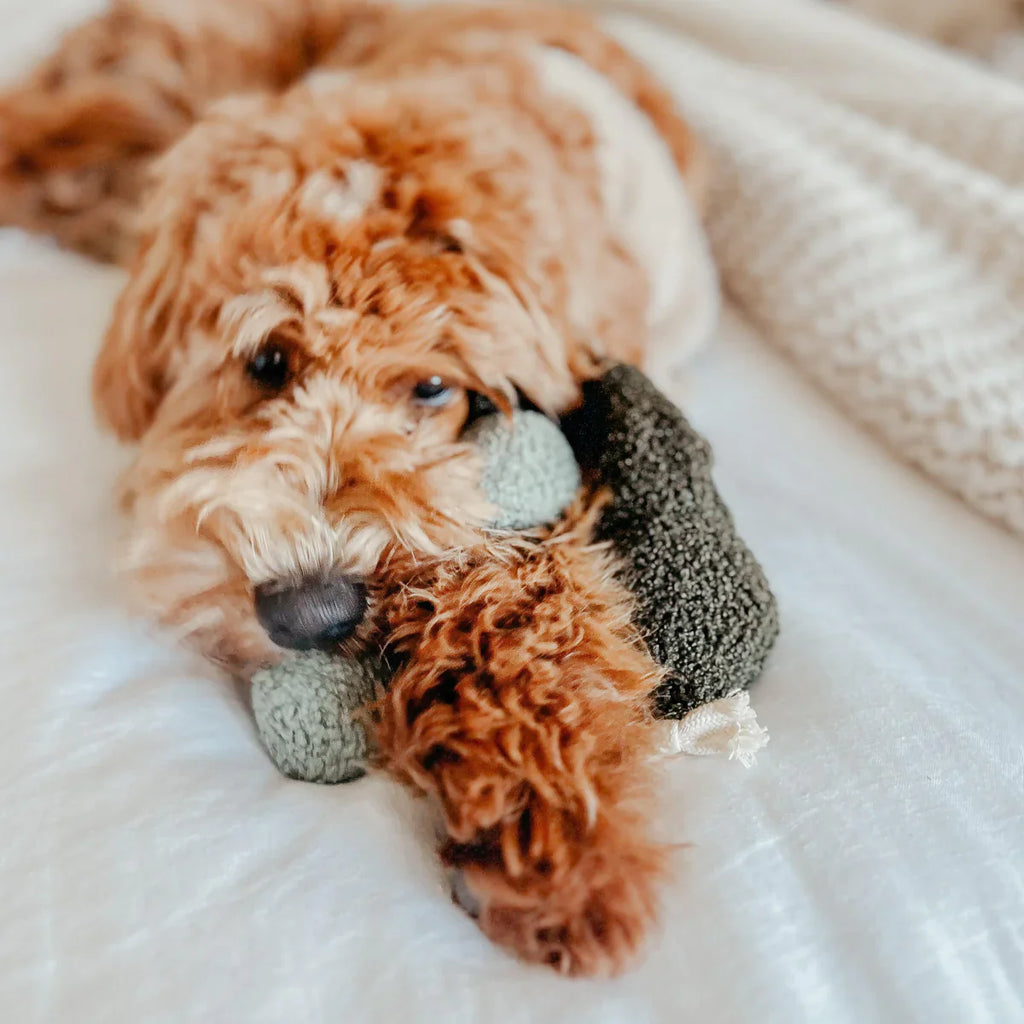 Pea Pop Enrichment Dog Toy