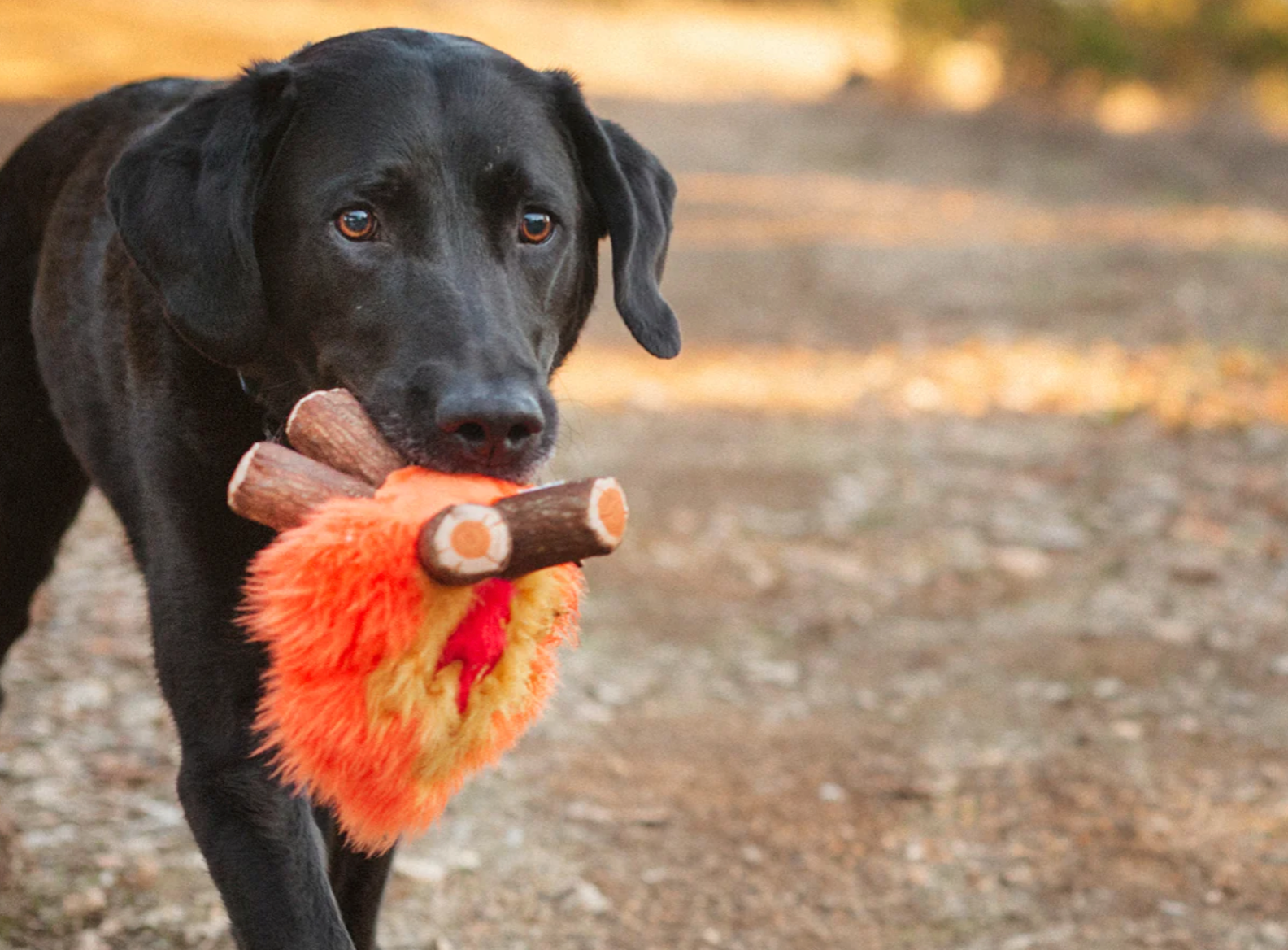 Camp Corbin Cozy Campfire Toy