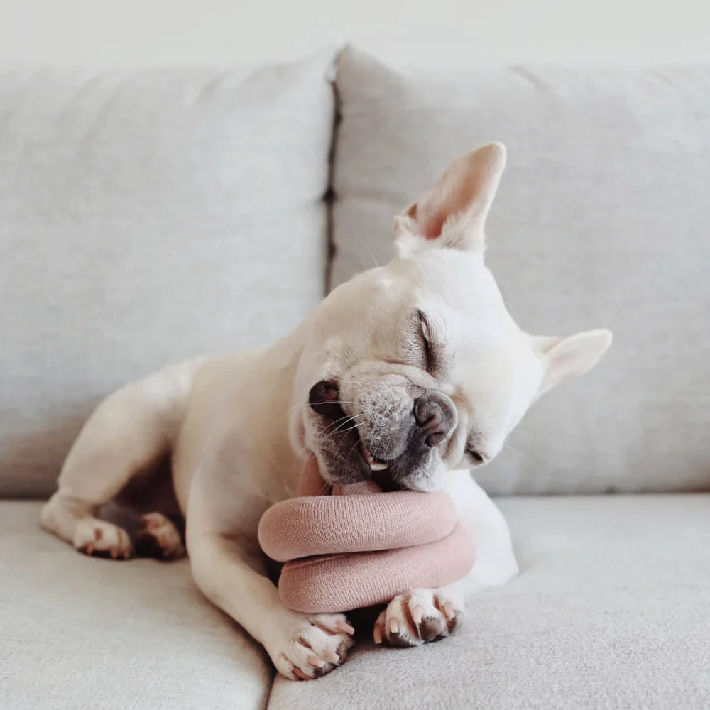 NOUNOU Toy - Squeaky + Nylon Knit