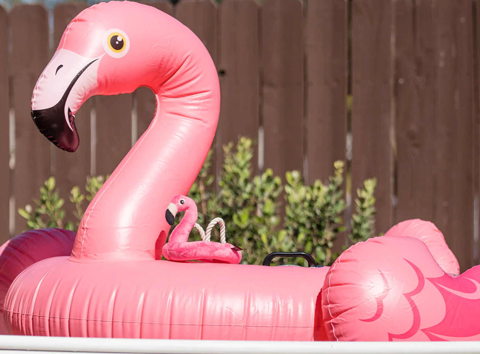 Tropical Paradise Flamingo Float Toy