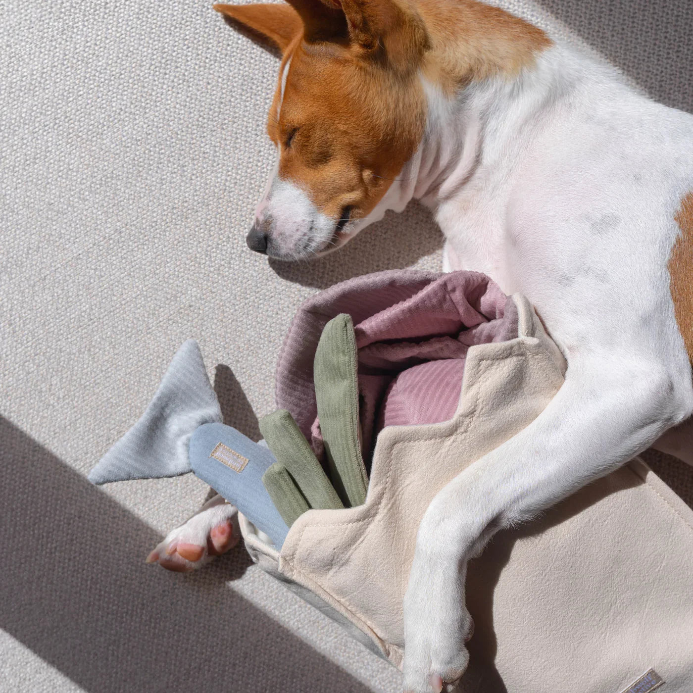 Farmer's Market Enrichment Dog Toy Set