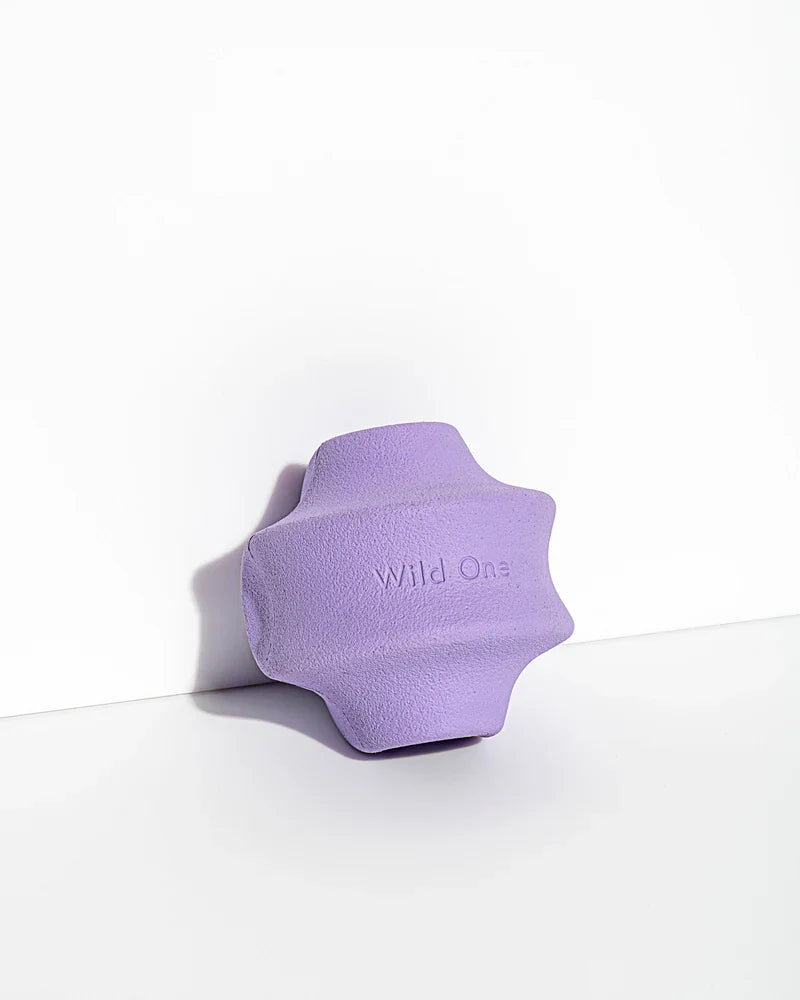 Twist Toss Toy - Small