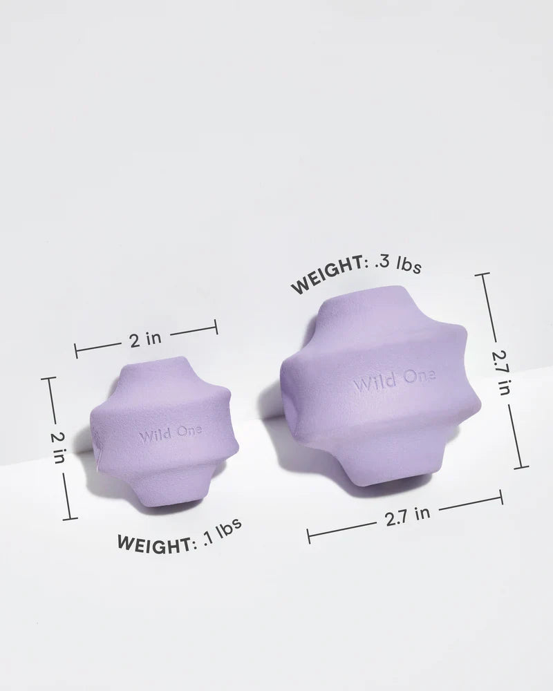 Twist Toss Toy - Standard