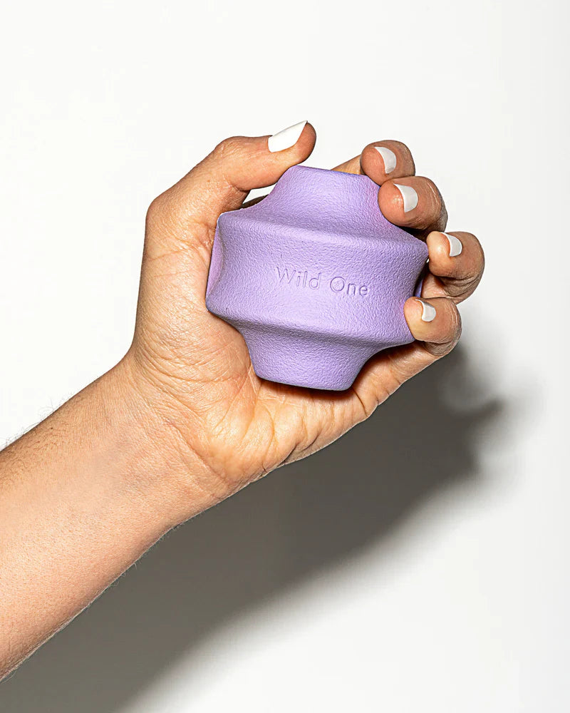 Twist Toss Toy - Standard