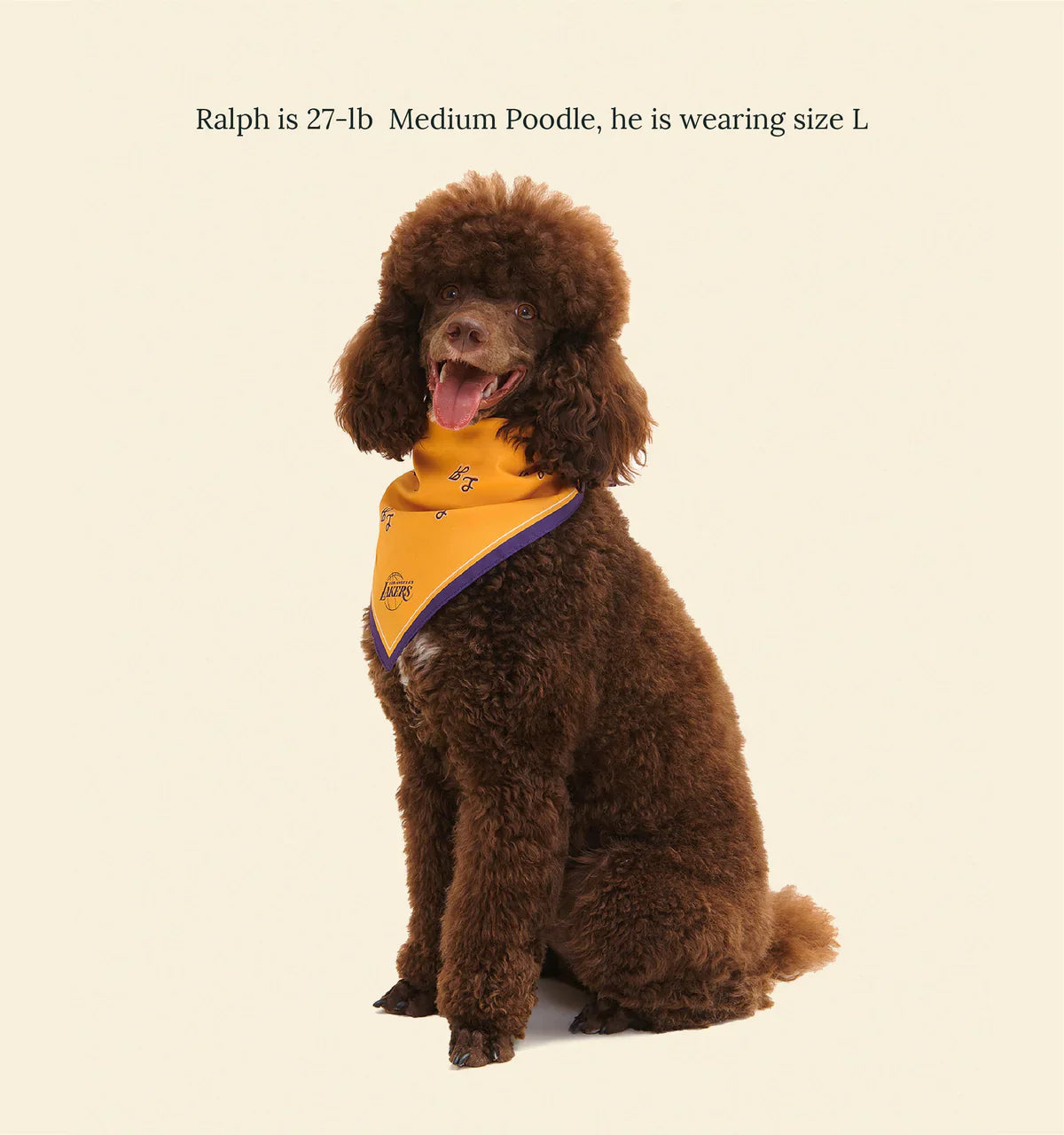 Los Angeles Lakers Bandana - NBA