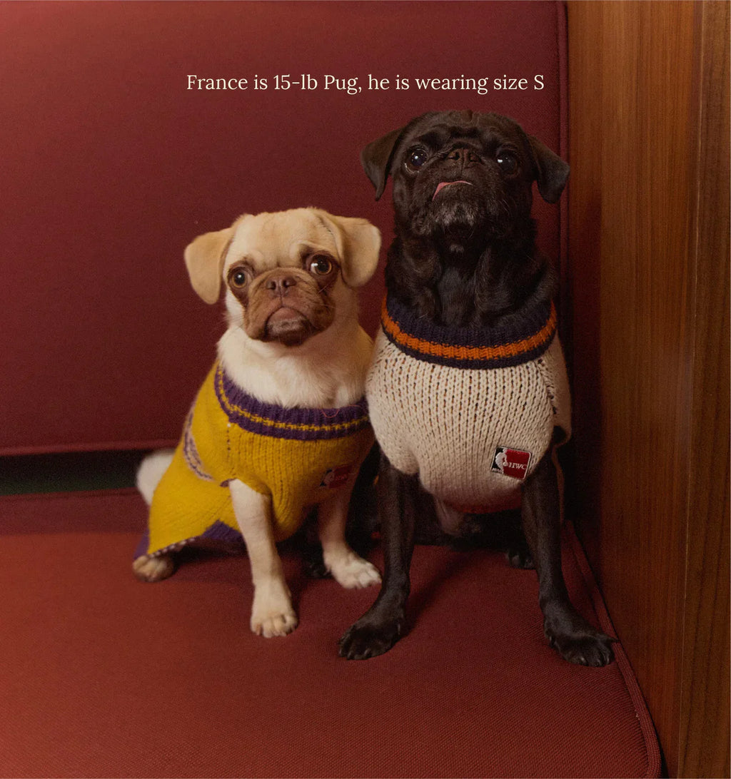 Los Angeles Lakers Dog Sweater - NBA